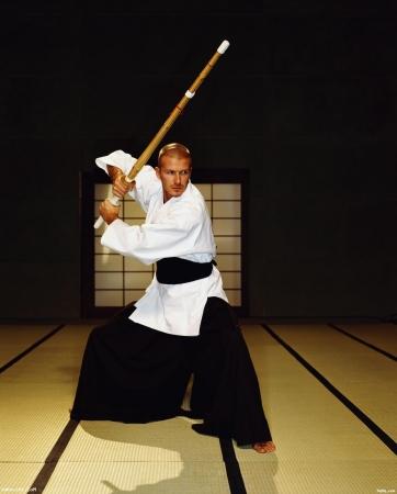 aikido
