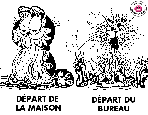 maison bureaux