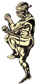 muay thai
