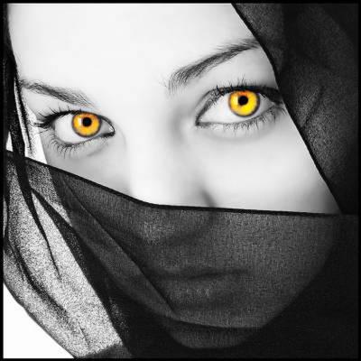 beaux yeux